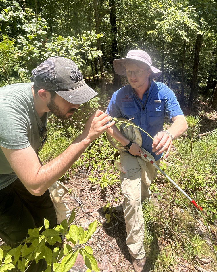 Philip and Musab investigate native agave