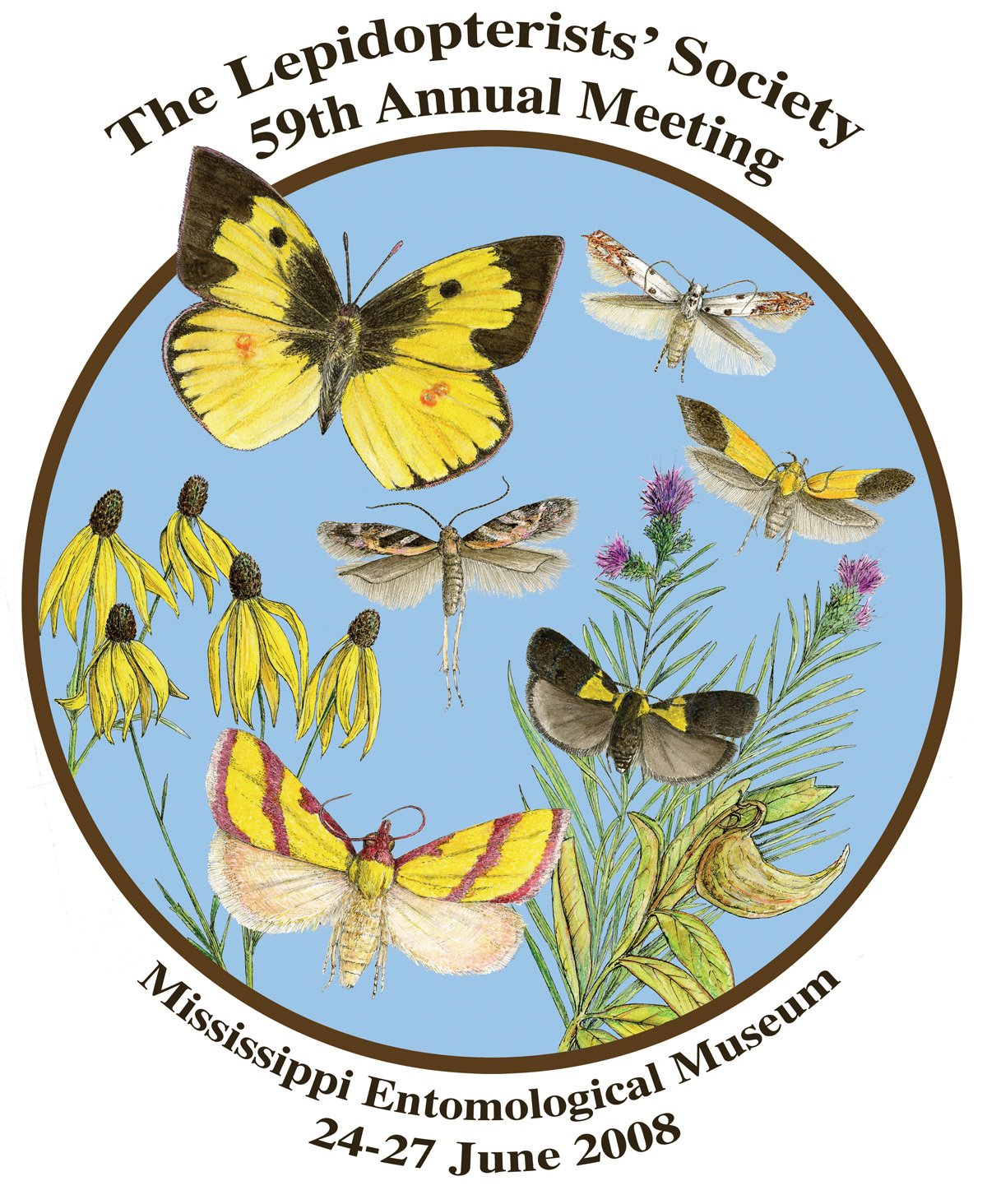 Joe MacGown's Insect Art Gallery 2