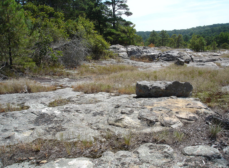 Petiti Jean Rock Outcrop